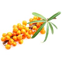 Sea buckthorn oil