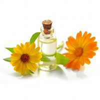 Calendula officinalis essential oil