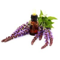 Salvia officinalis essential oil