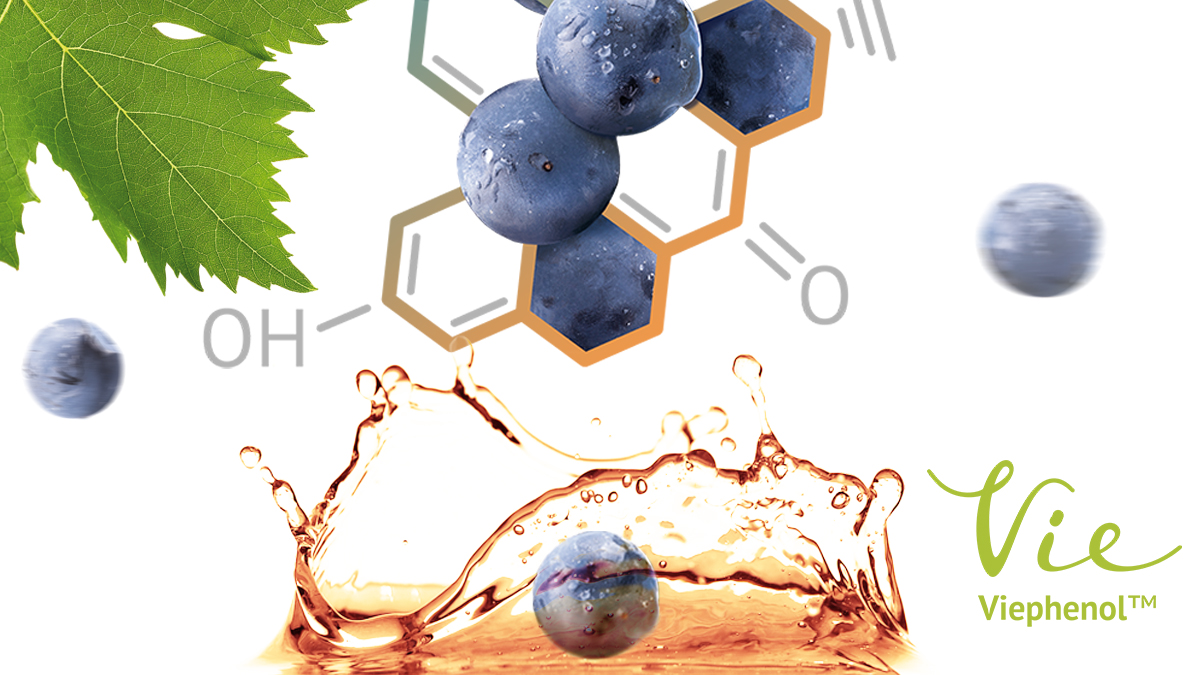 Viephenol Viorica Vie