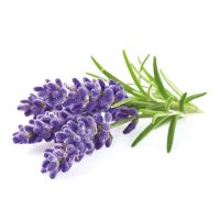 Lavender extract