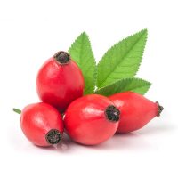 Rose hip extract