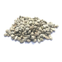 Pumice stone microgranules