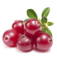 Cranberry Extract