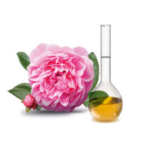 Rose essential oil