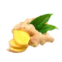 Ginger extract