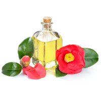 Camellia oil